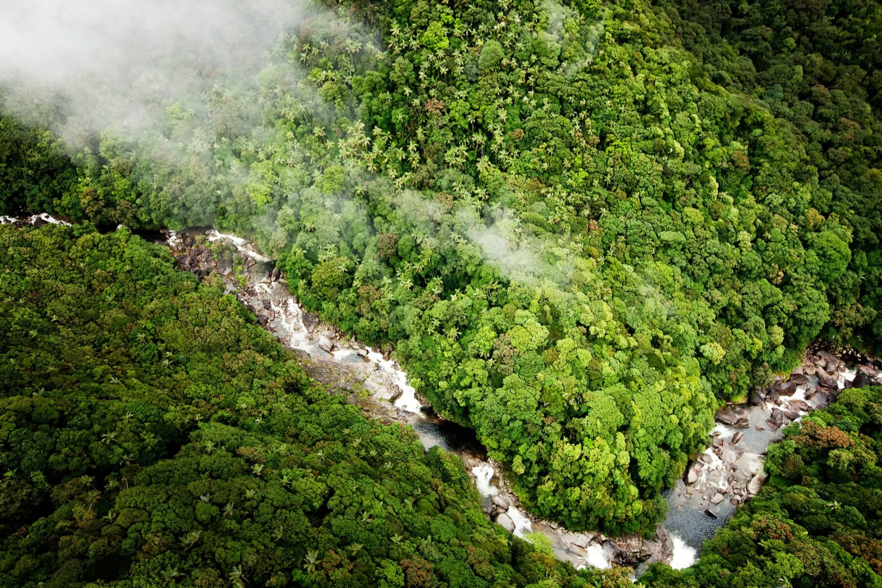 Hidden swimming hole in the Daintree